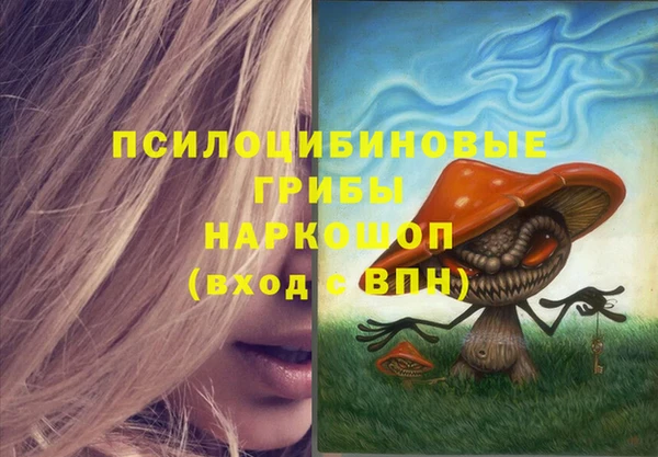 шишки Богородицк