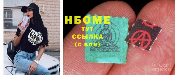 шишки Богородицк