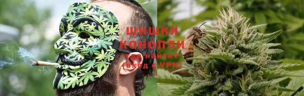 шишки Богородицк